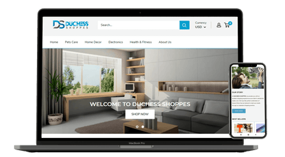 Ecomtenz – Done-For-You Online Store in 48 Hours
