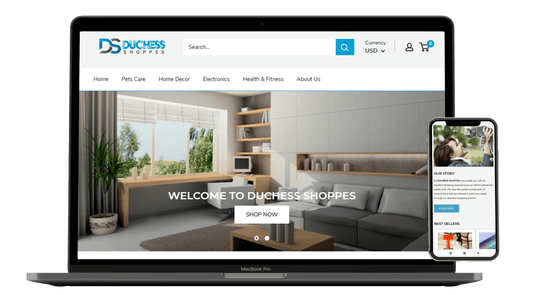 Ecomtenz – Done-For-You Online Store in 48 Hours